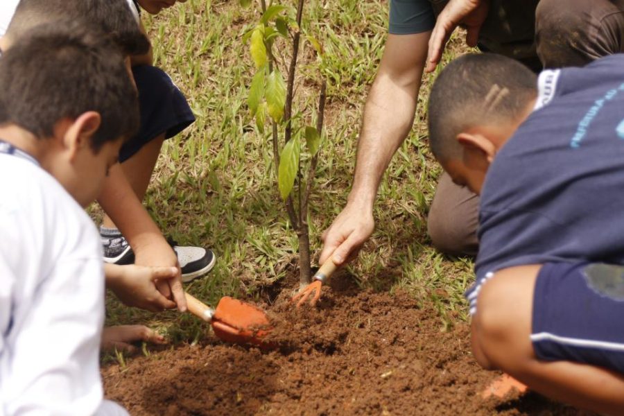 Taubaté promove ações de educação ambiental durante os Dias Verdes
